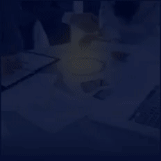보험심사